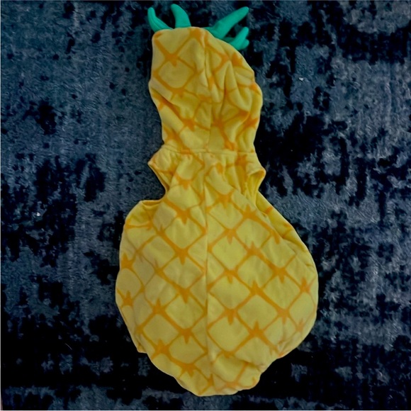 Pineapple Halloween Costume 12 month - Picture 7 of 8